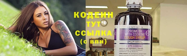 apvp Богородицк