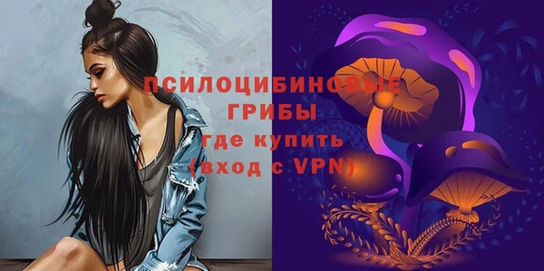 PSILOCYBIN Богородск