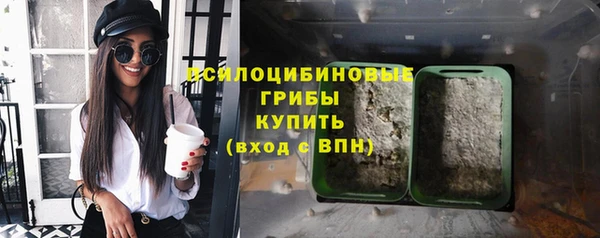 сатива Богданович