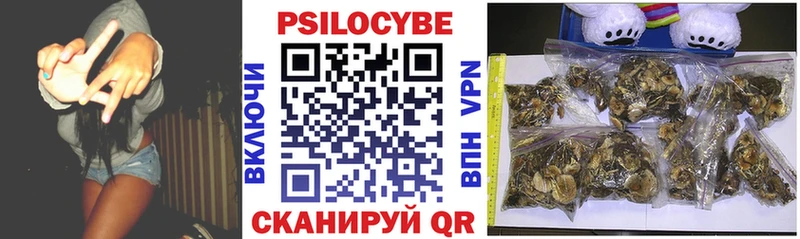 Галлюциногенные грибы Cubensis  Качканар 